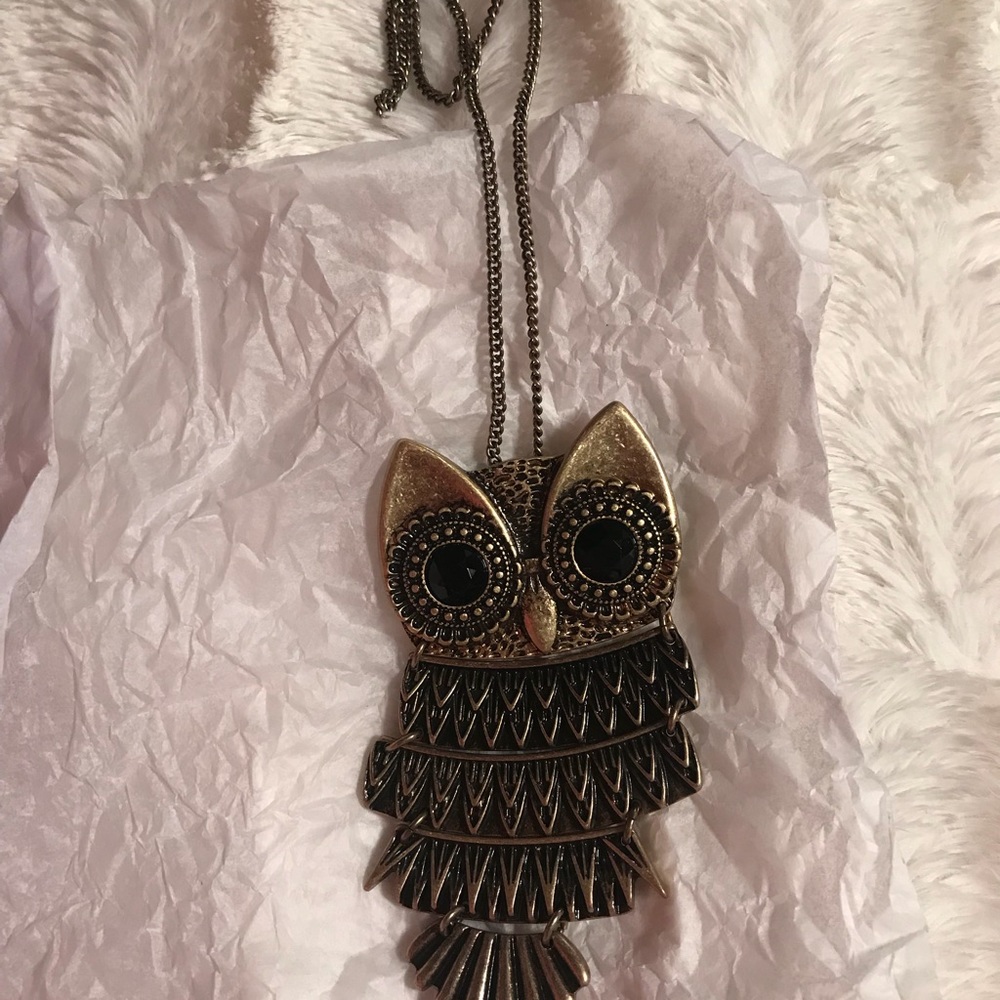 Avon Long Inner Wisdom Owl Necklace/Pin